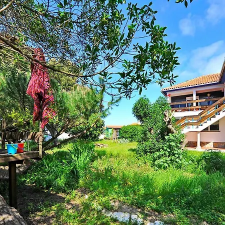 Azenhas Sea & Garden By Gt House * Azenhas do Mar